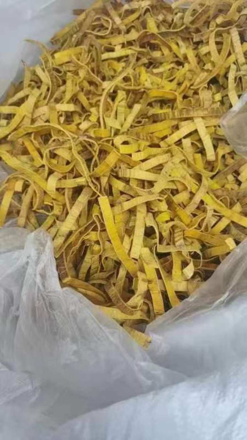 精品黄柏丝大量供应品质保证量大从优欢迎选购