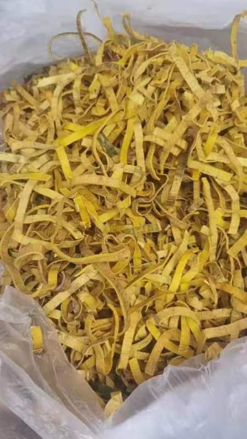 精品黄柏丝大量供应品质保证量大从优欢迎选购