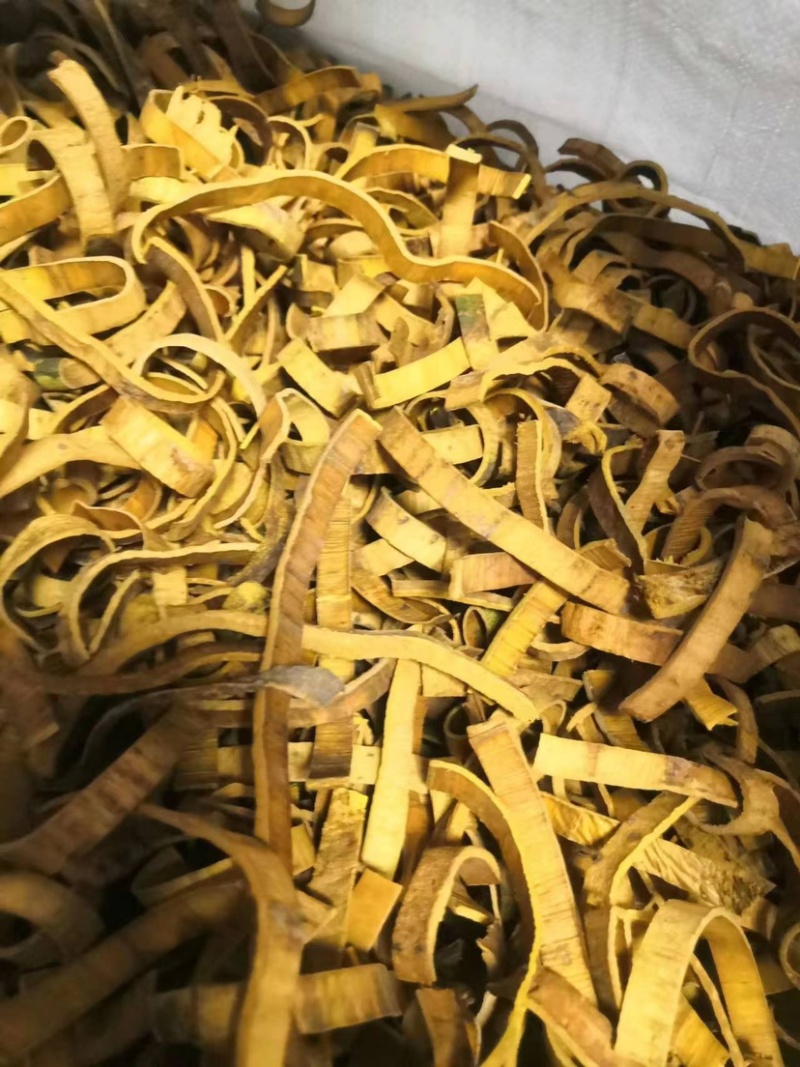 精品黄柏丝大量供应品质保证量大从优欢迎选购