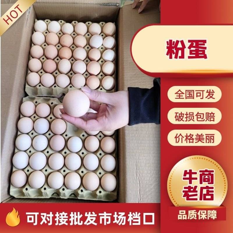 精品粉蛋