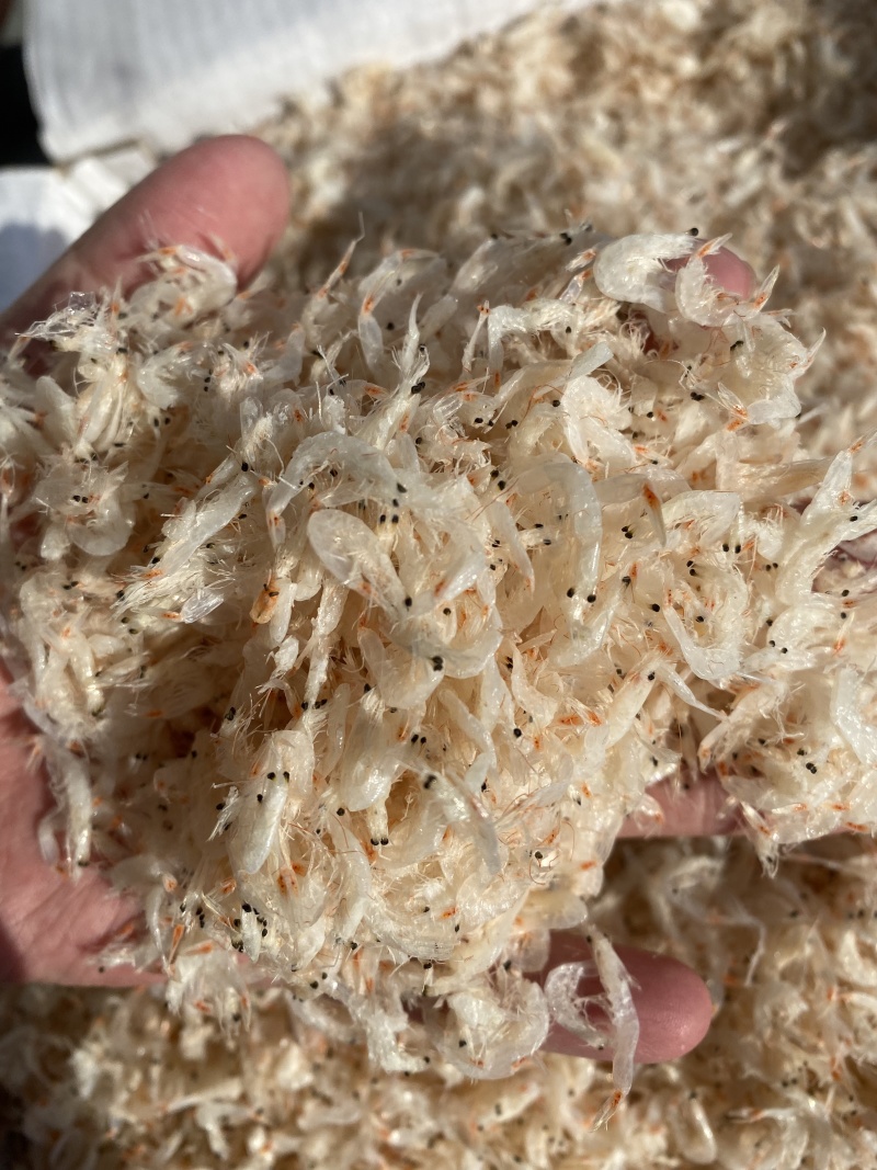 淡干无盐虾皮海捕新货干度好厂家一手货源适合电商微商批发商