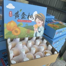 蒙阴黄桃一件代发多多美团抖音快手社区团商超