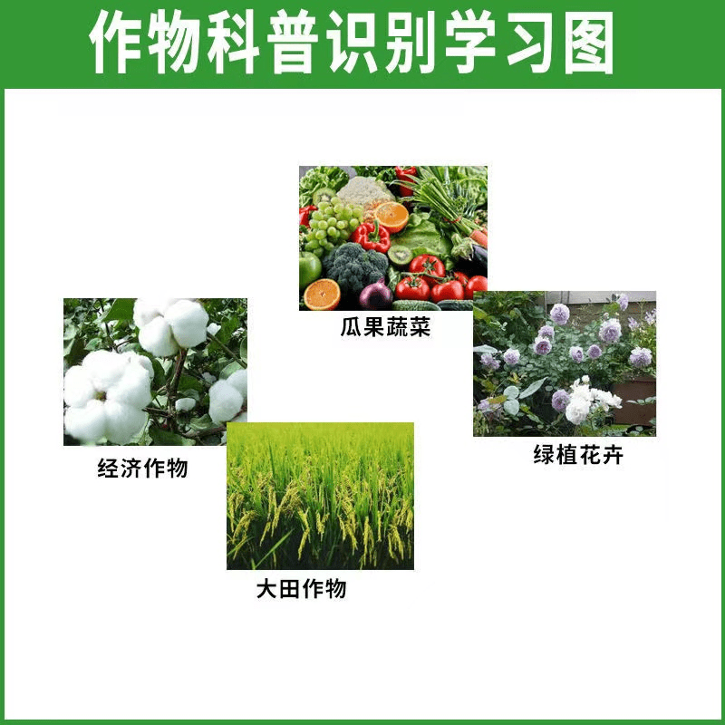 10%虱螨脲杀虫剂农药甜菜夜蛾青虫小菜蛾柑橘锈壁虱吊丝虫