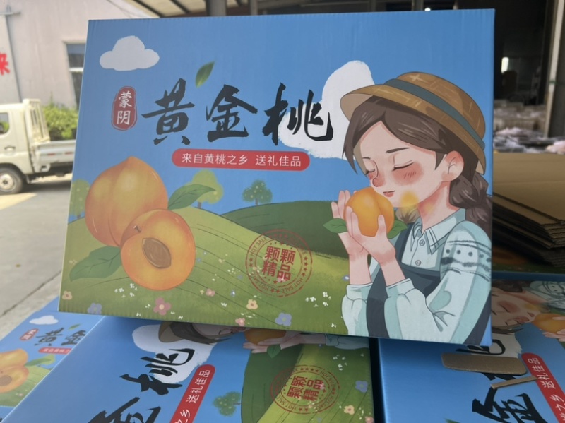 蒙阴黄桃一件代发多多美团抖音快手社区团商超