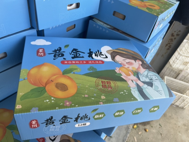 蒙阴黄桃一件代发多多美团抖音快手社区团商超