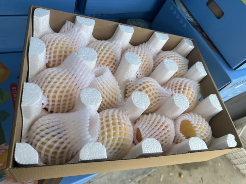 蒙阴黄桃一件代发多多美团抖音快手社区团商超