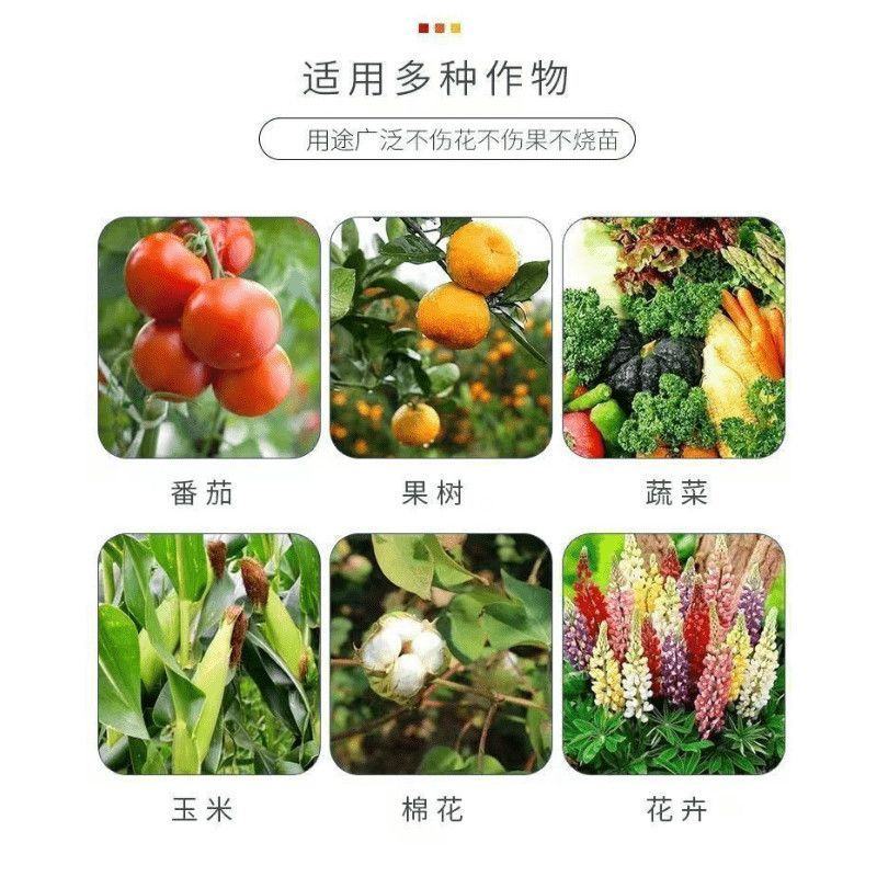 百菌清蓝粉杀菌剂蔬菜果蔬花卉霜霉病白粉病轮纹病褐斑病疫病