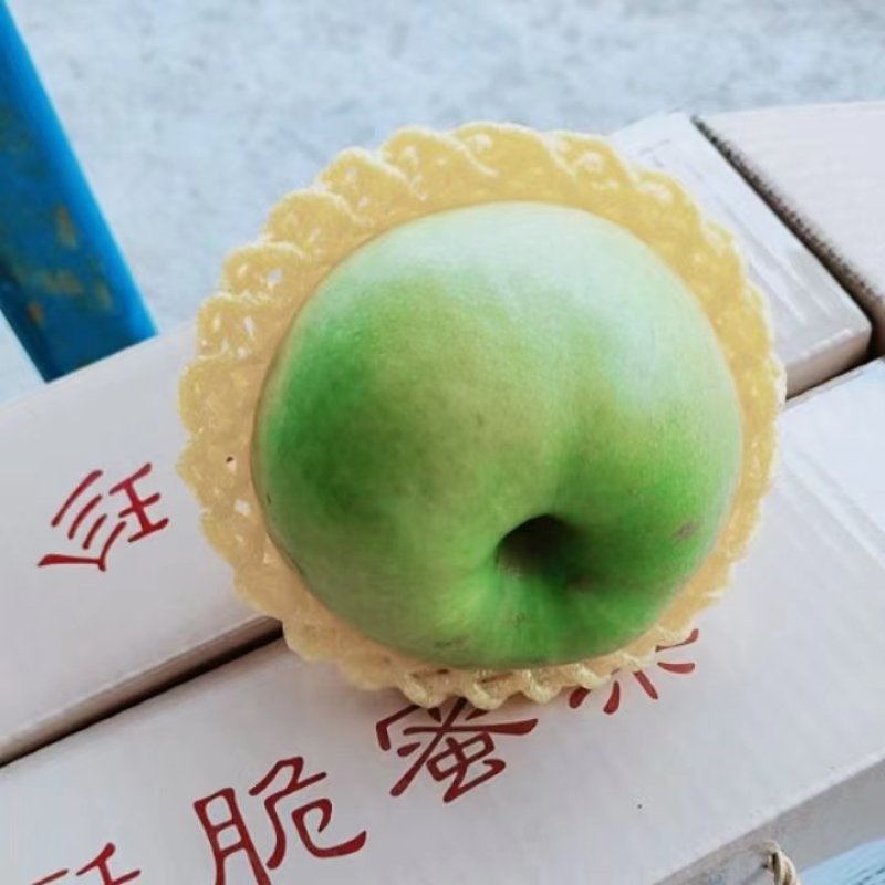 皇冠梨，青皇冠梨，白皇冠梨，果肉细腻，口感脆甜，保质保量