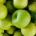 皇冠梨，青皇冠梨，白皇冠梨，果肉细腻，口感脆甜，保质保量
