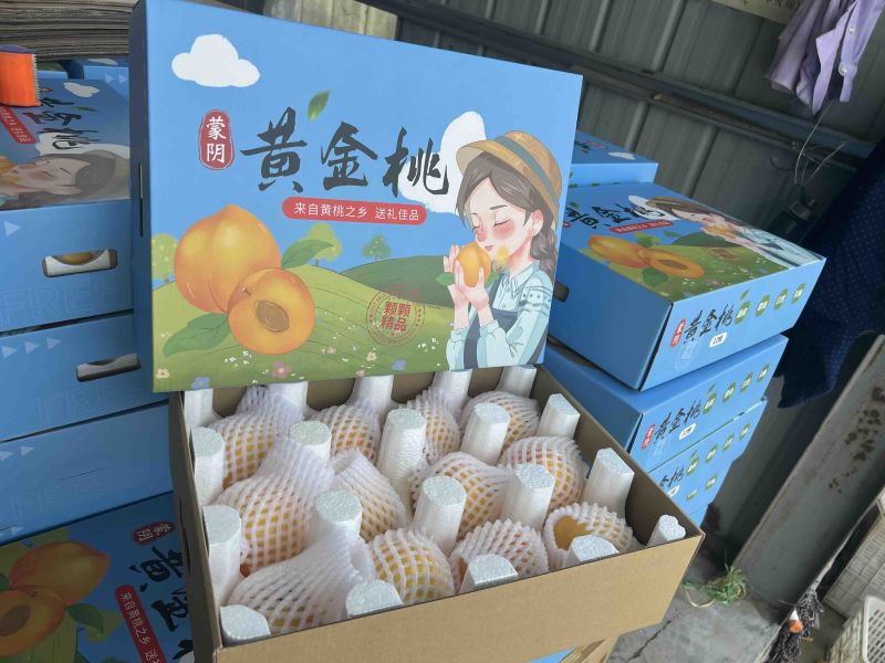 山东黄桃黄油桃黄毛桃黄蟠桃多多美团一件代发