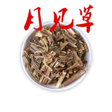 中药材月见草山芝麻草实物月见草干货月见草