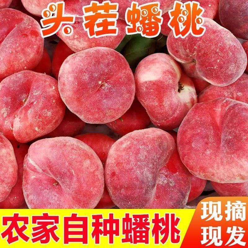 精品毛蟠桃大量供应对接各大市场商超电商加工厂