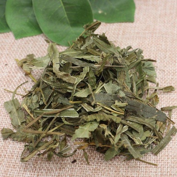 中药材凤尾草