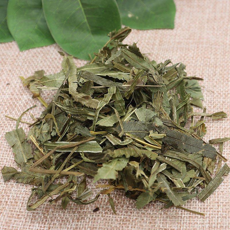 中药材凤尾草