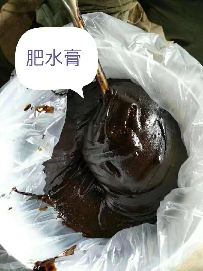 氨基酸肥水膏水产鱼虾蟹养殖用生物肥料瓜果蔬菜净化水质