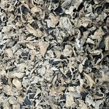 东北大筋水发木耳产地直供高泡发质量保证