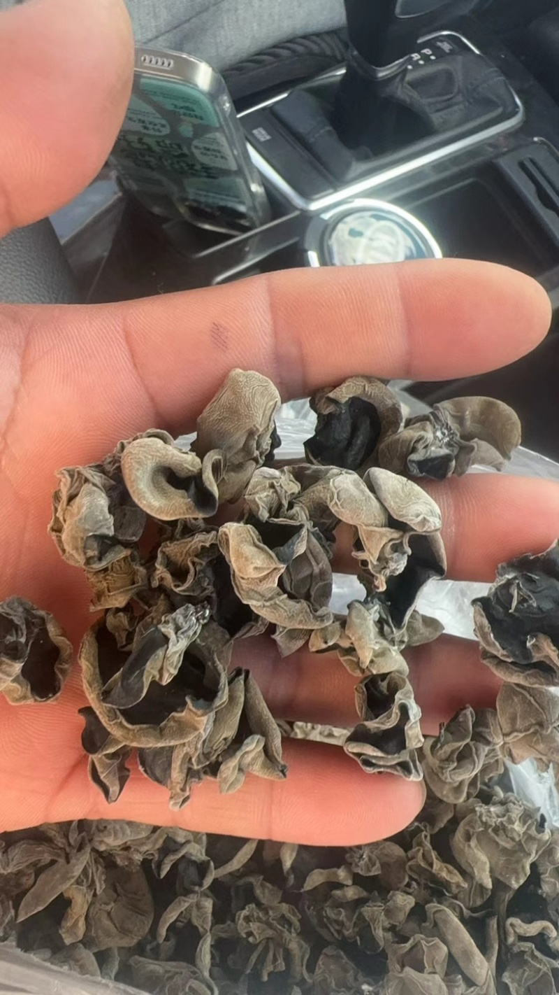 东北大筋水发木耳产地直供高泡发质量保证