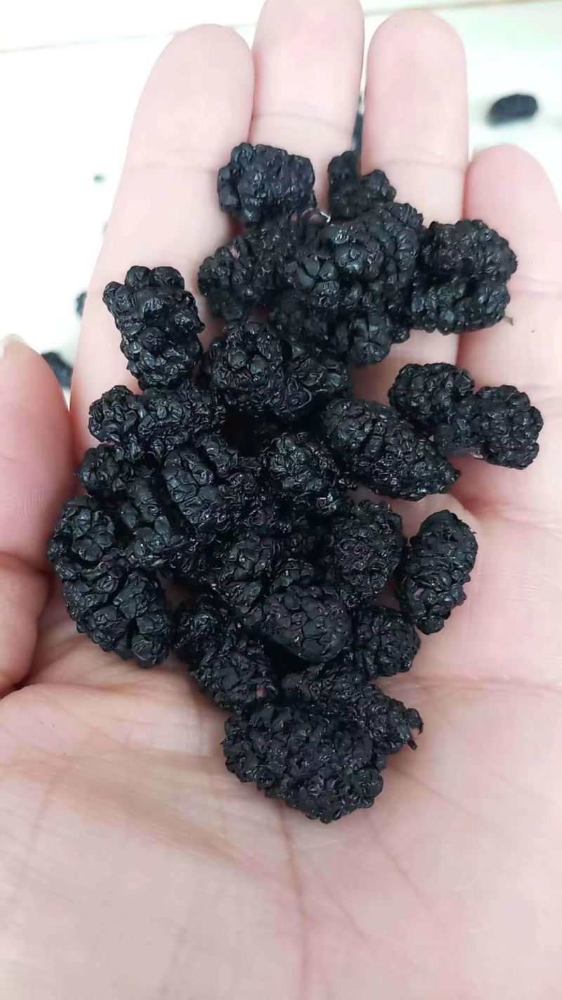 优质黑桑葚干颗粒饱满干净无沙一手货源全国发货