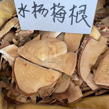 水杨梅中草药材杨梅根水杨柳水杨梅根
