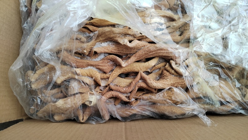国产牛小肠，纯干净油，解冻开不掉称，可看货，可样品
