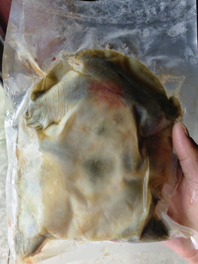湖南厂家直供卤甲鱼生胚供应预制菜供应质量保证