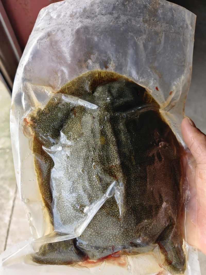 湖南厂家直供卤甲鱼生胚供应预制菜供应质量保证