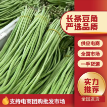 山东长豆角，绿龙豆角，产地一手货源，规格齐全，代发全国