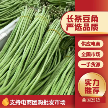 山东长豆角，绿龙豆角，产地一手货源，规格齐全，代发全国