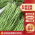 山东长豆角，绿龙豆角，产地一手货源，规格齐全，代发全国