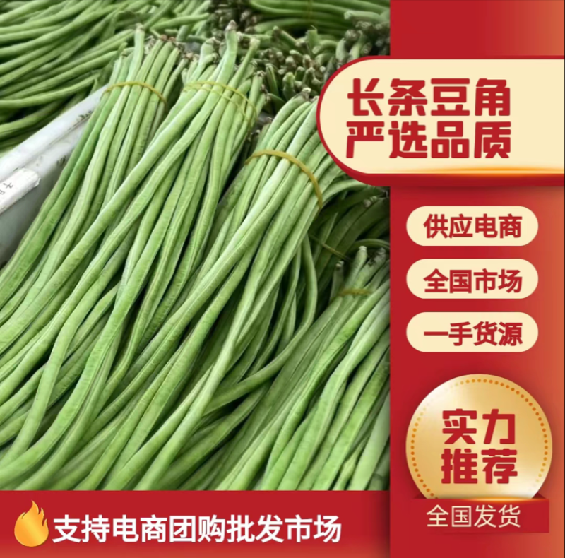 山东长豆角，绿龙豆角，产地一手货源，规格齐全，代发全国