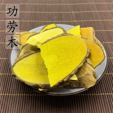 中药材功劳木十大功劳木