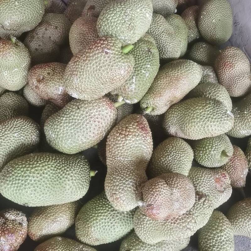 海南榴莲蜜一件代发全国
