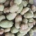 海南榴莲蜜一件代发全国