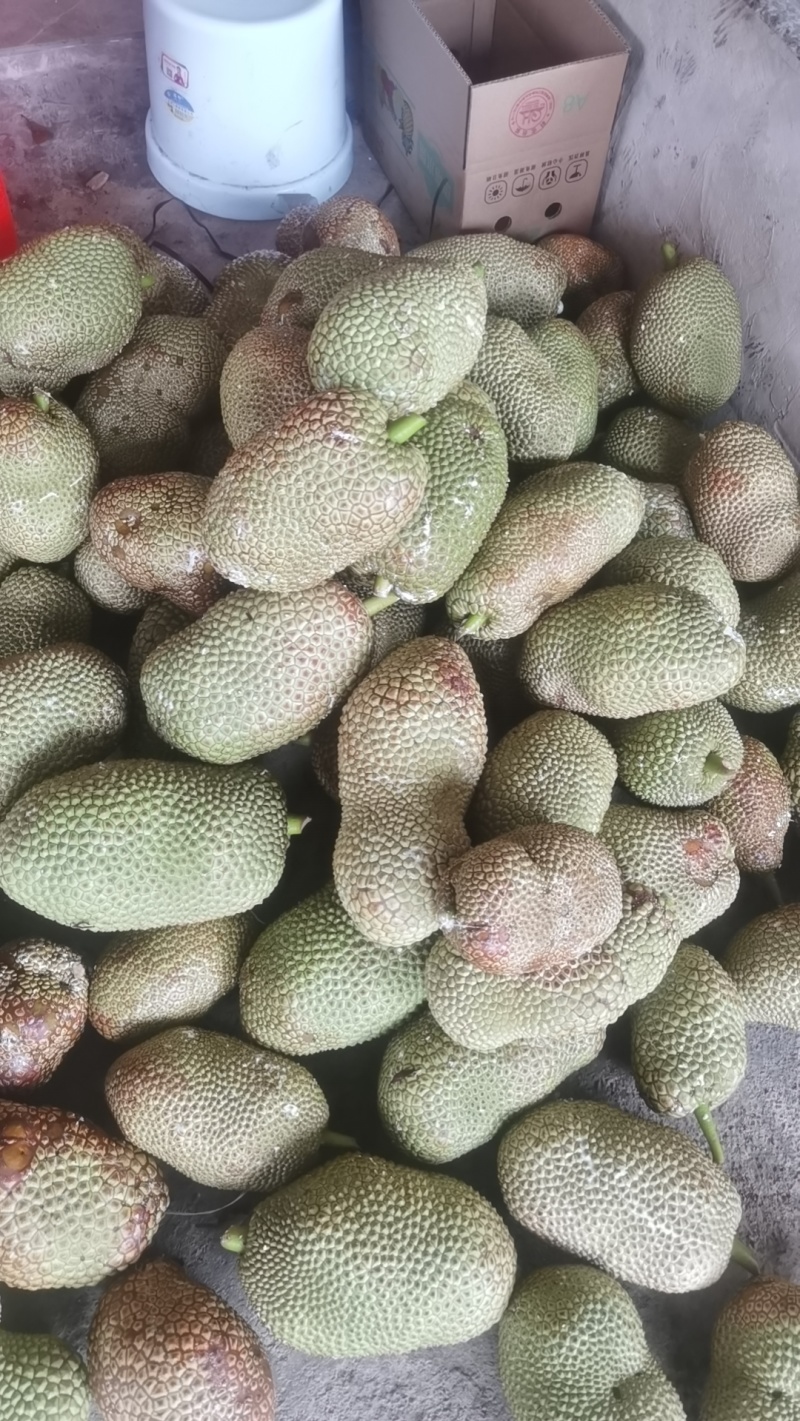 海南榴莲蜜一件代发全国