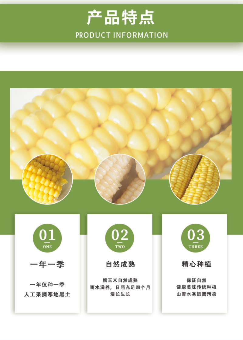 2025年头茬东北真空糯玉米黄糯精选棒可贴牌代工全年供货