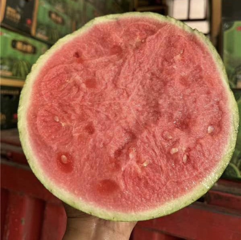 美都西瓜切开特写