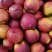 砀山县精品麻点油桃。量大上市。硬度好，果面干净。需要联系
