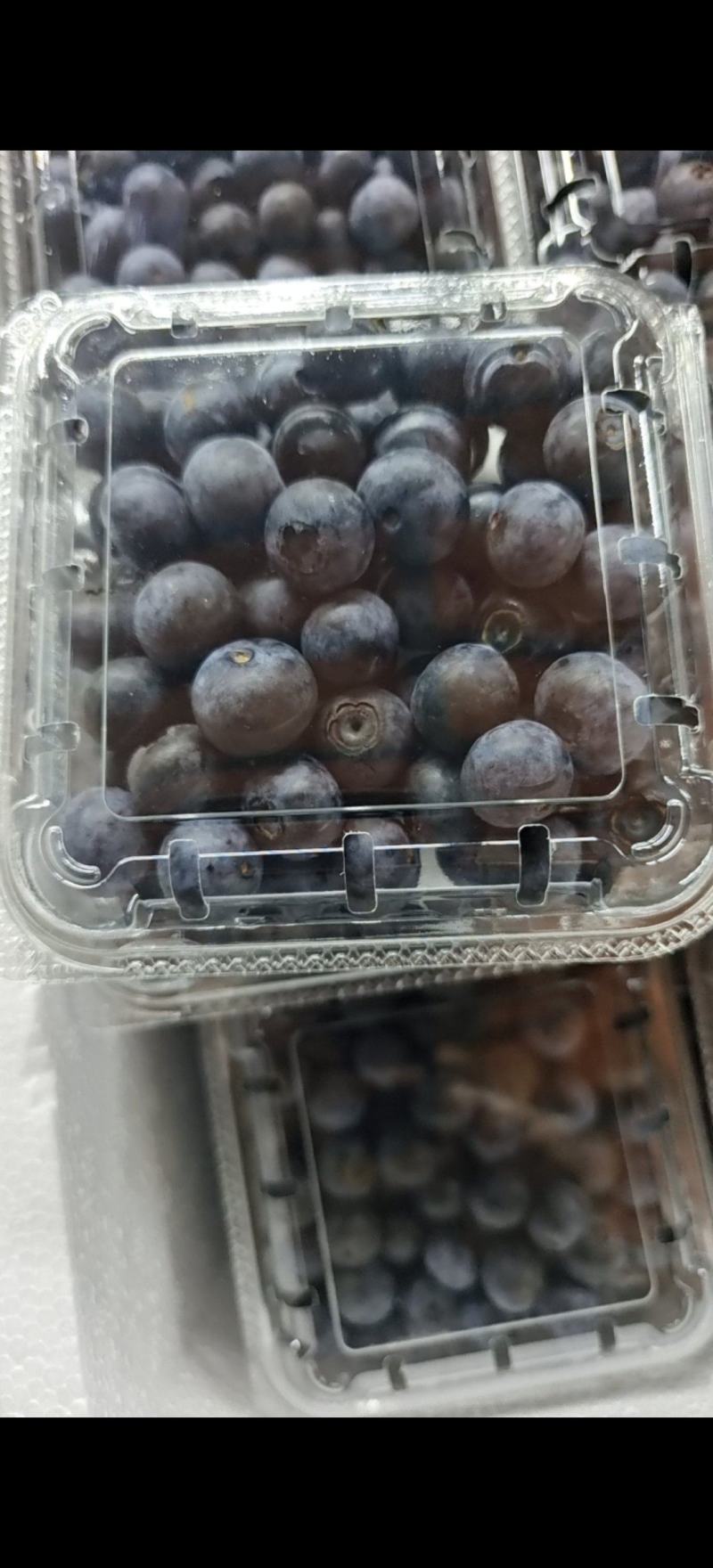专业包装蓝莓
