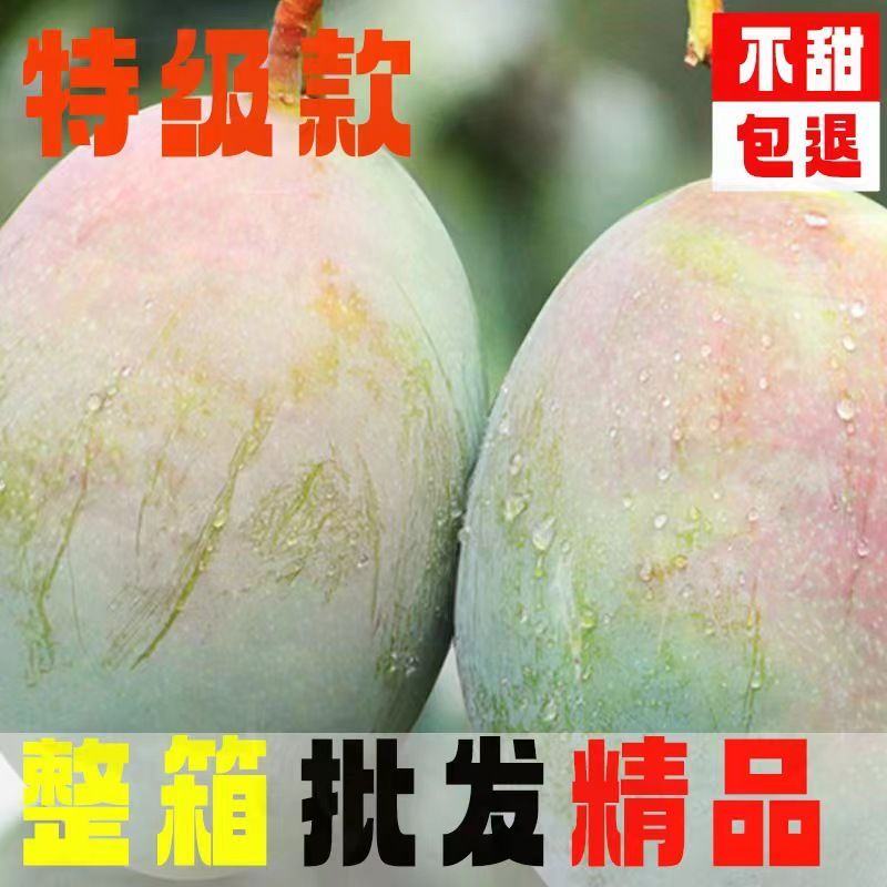 芒果凯特四川攀枝花大芒果超甜特大号新鲜水果批发9斤装整