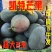 芒果凯特四川攀枝花大芒果超甜特大号新鲜水果批发9斤装整