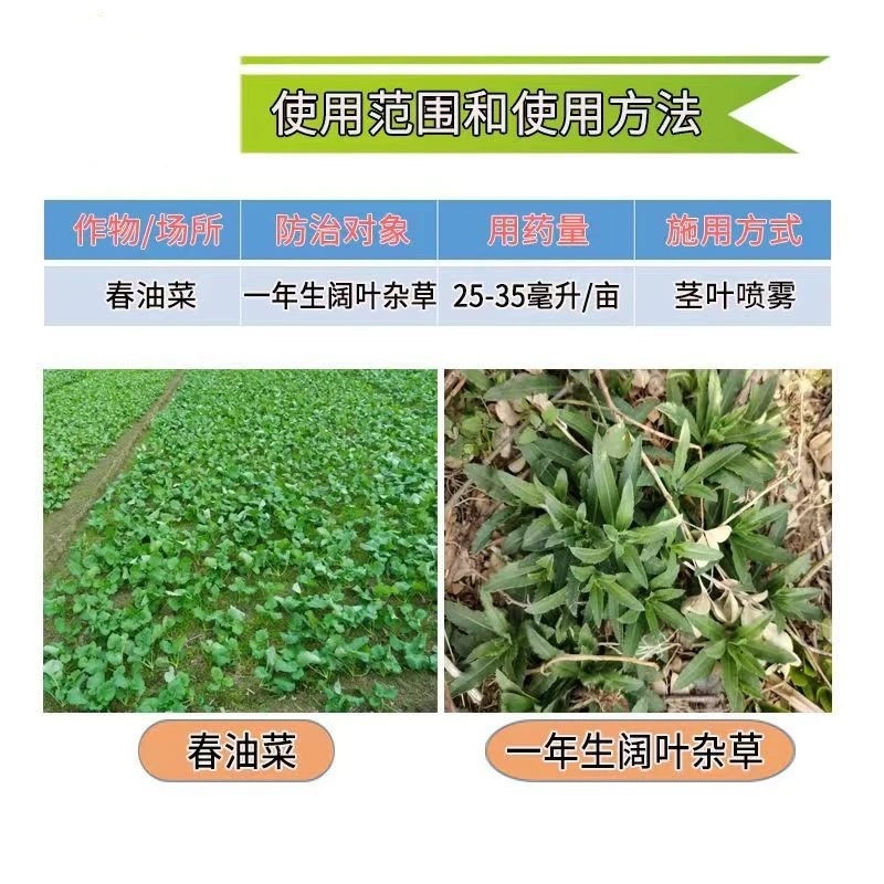 埃森30%氨氯吡啶酸二氯吡啶酸春油菜阔叶杂草农药除草剂