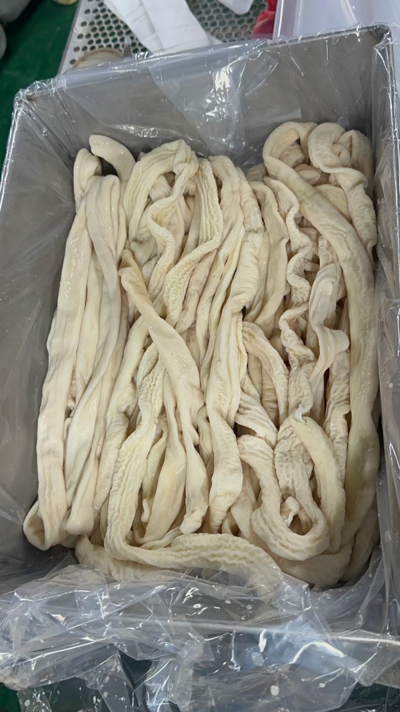 猪小肠