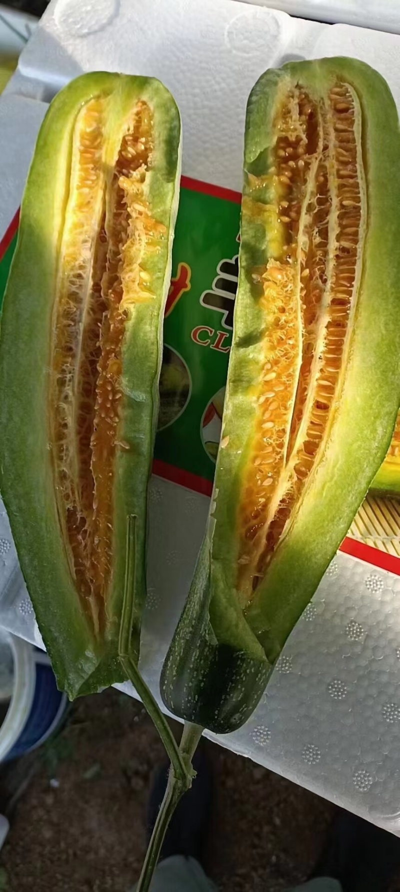 费县羊角蜜大量供应