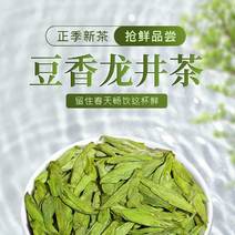 包邮1.5斤绿茶茶叶2024新茶正宗杭州龙井茶雨前浓香型