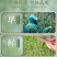 包邮1.5斤绿茶茶叶2024新茶正宗杭州龙井茶雨前浓香型