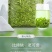 包邮1.5斤绿茶茶叶2024新茶正宗杭州龙井茶雨前浓香型