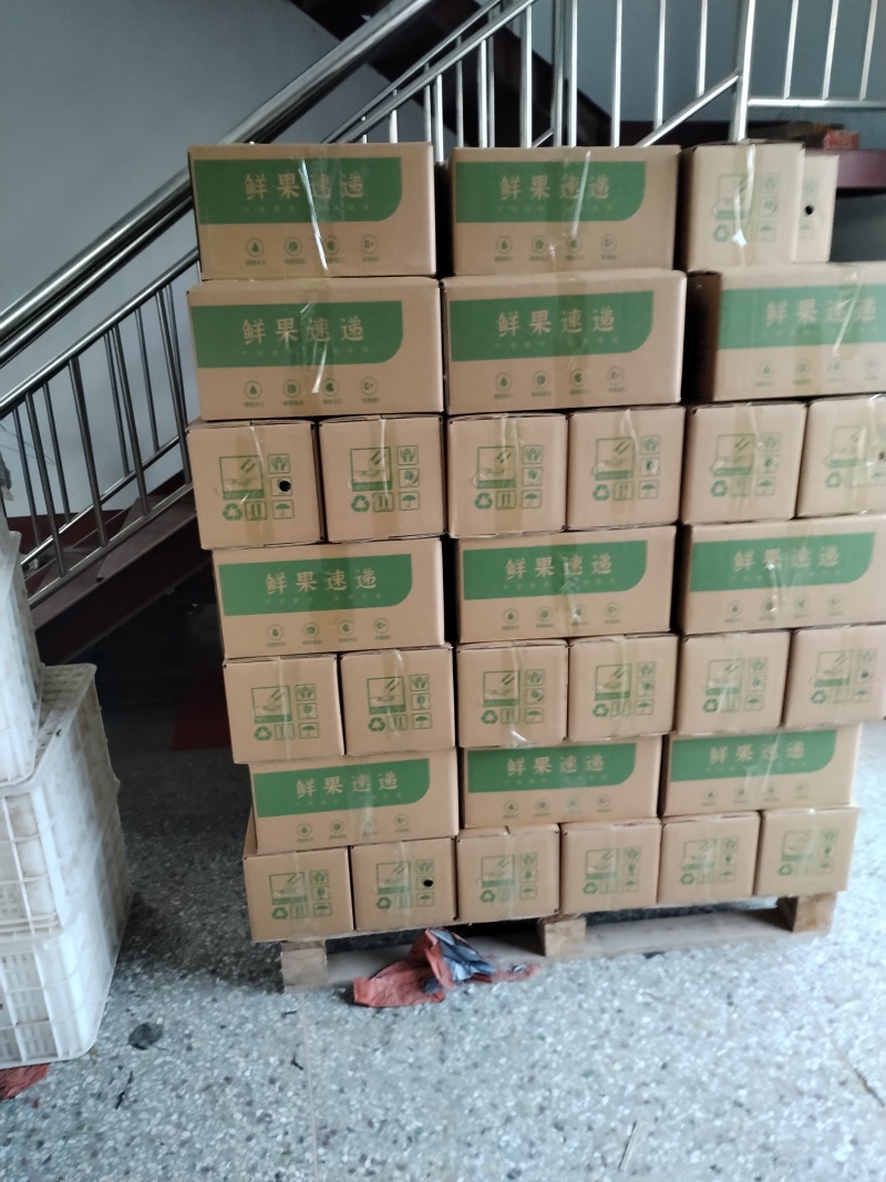 冠县精品丰水梨，皇冠梨/可供超市/可对接电商/全国发货