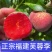 正宗福建芙蓉李子红心李专业对接电商果多多美团仓库社区团购