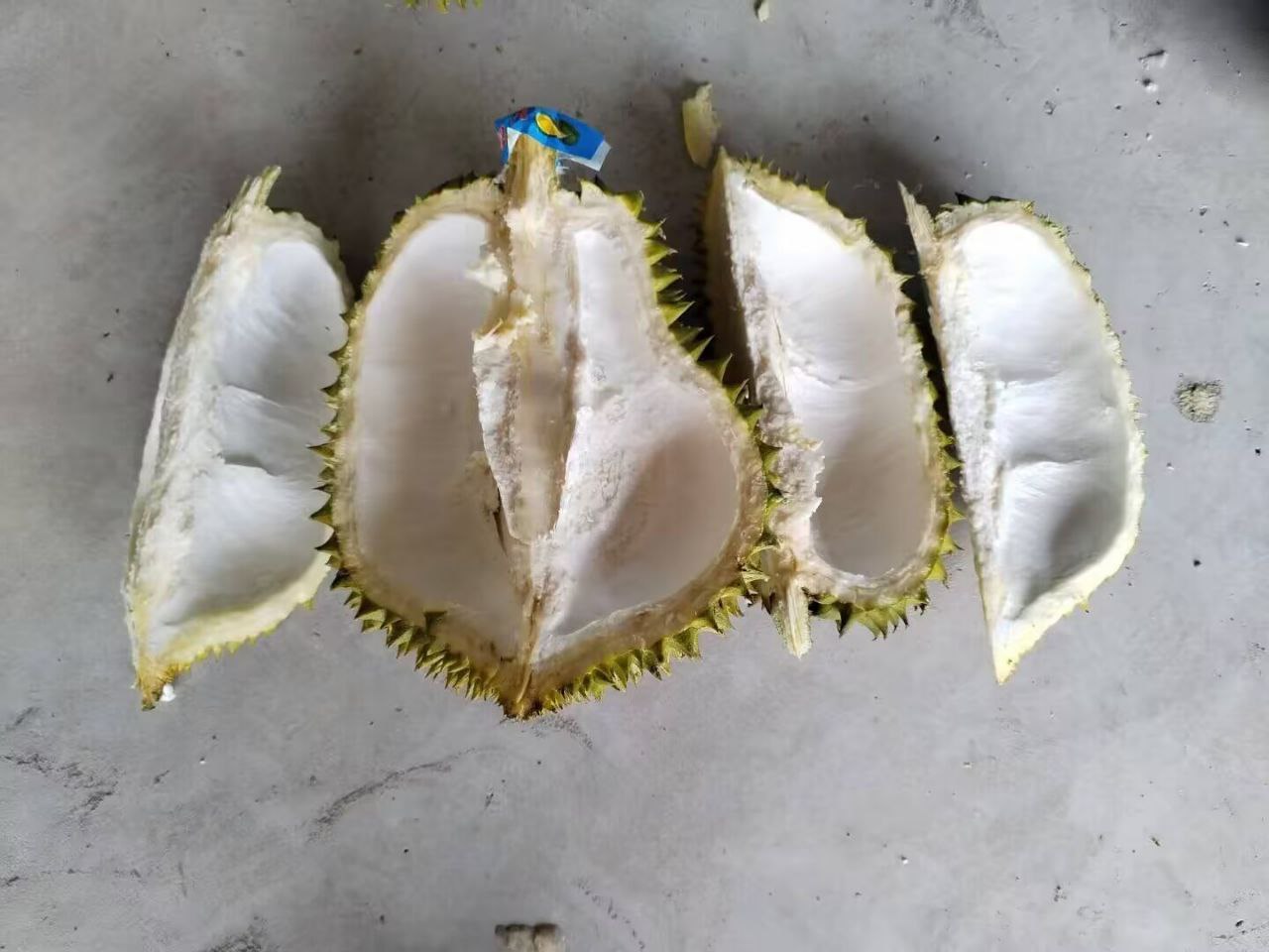 金枕头榴莲气味辨别