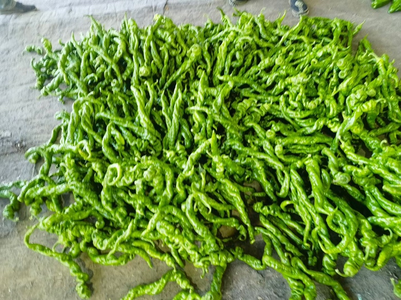 螺丝椒特写